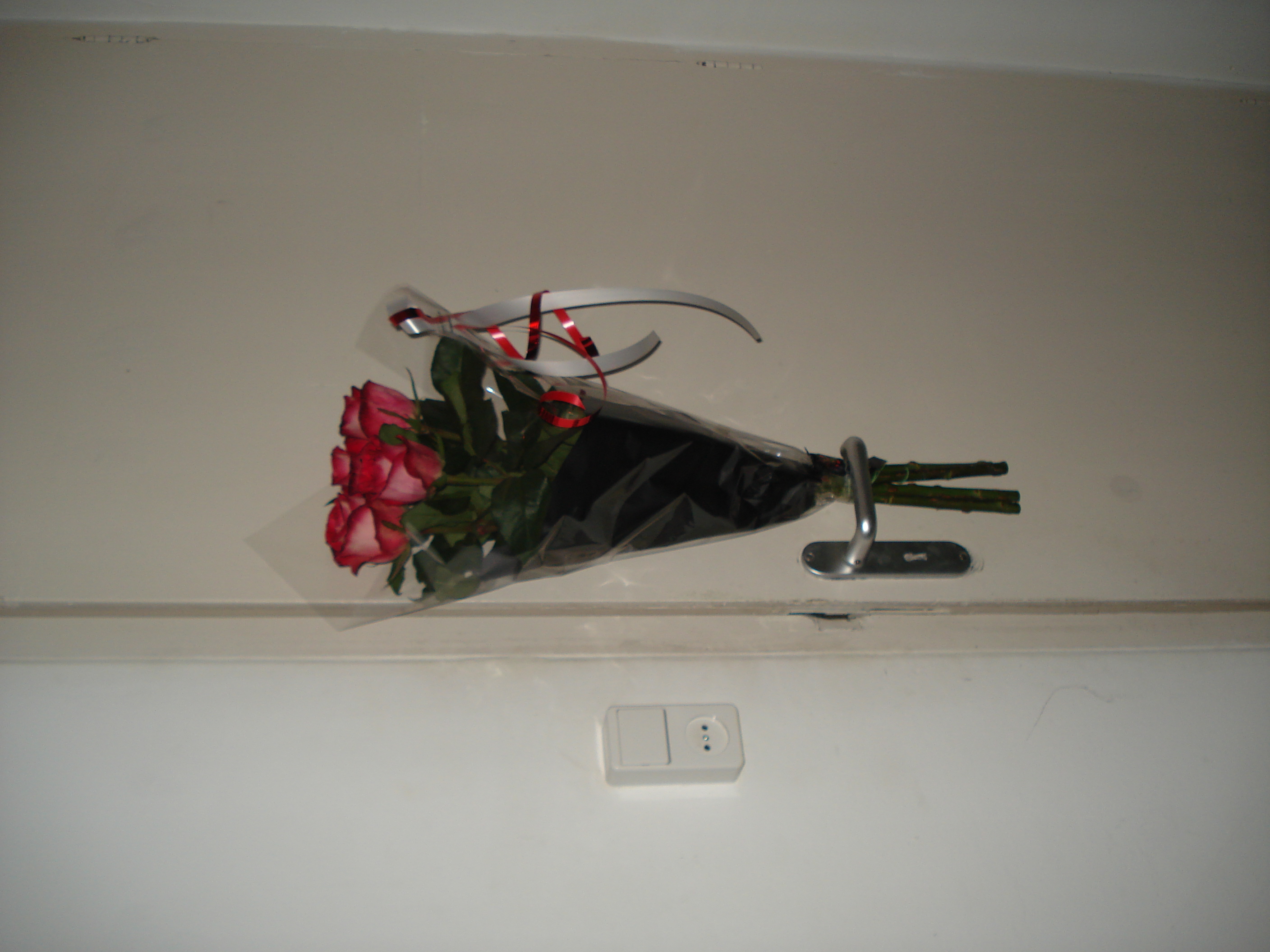 roses